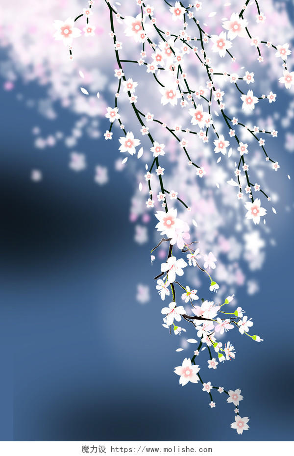 简约自然浪漫樱花樱花节花卉风景景色背景素材